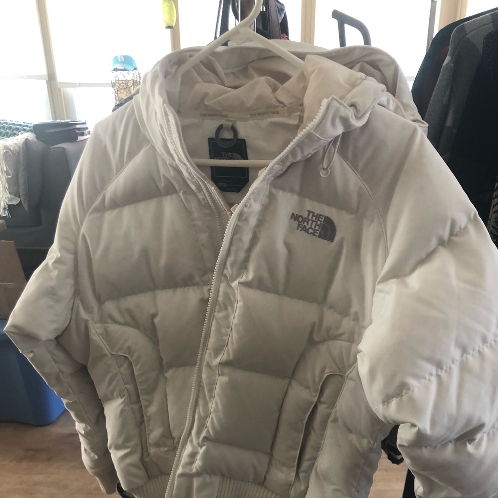 Off-white North Face Hooded Puffer Jacket